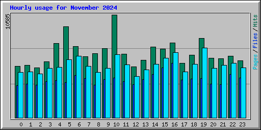 Hourly usage for November 2024