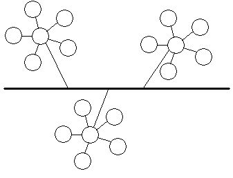 Stablasta topologija