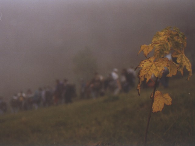 [bratovstina]