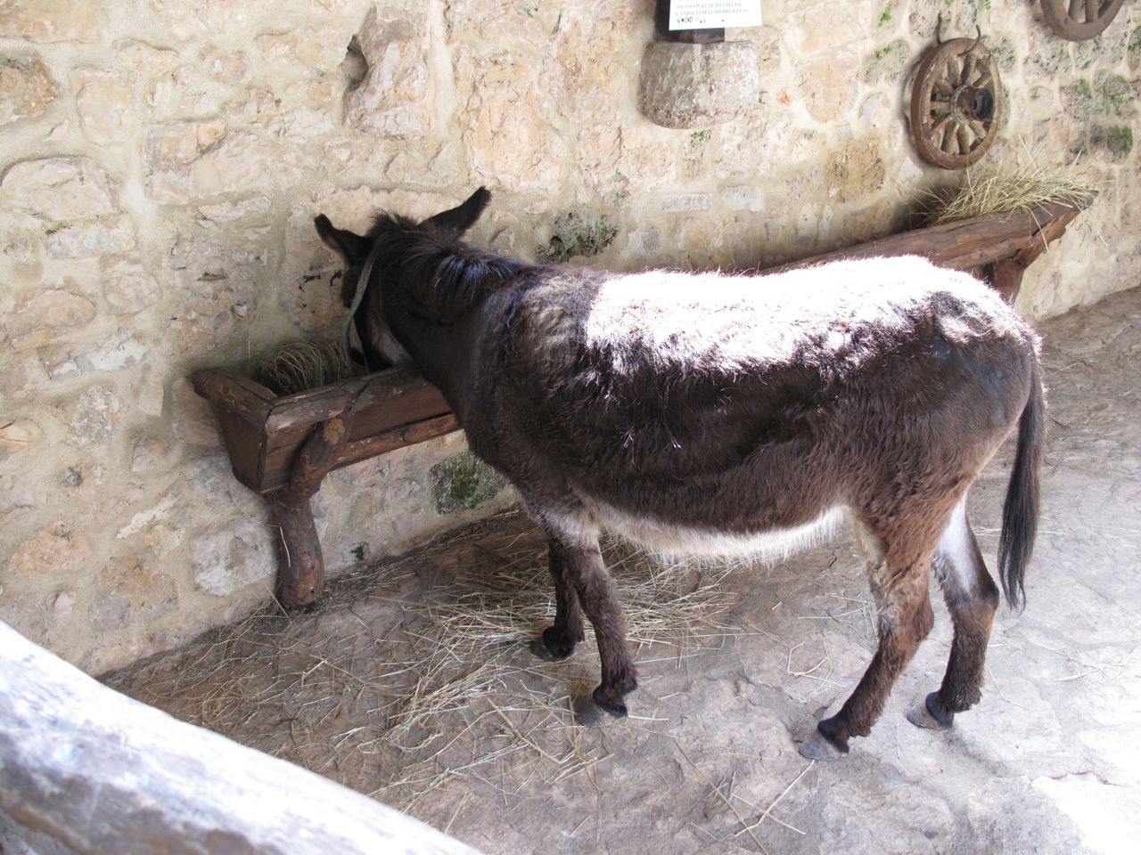slika11