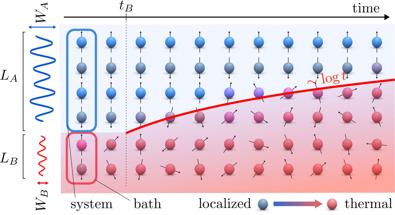 Thermal avalanche spreading from a bath into a localised quasiperiodic spin chain